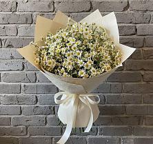 Букет цветов из:  Ромашки в Южном