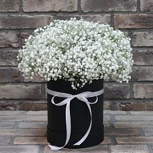 Цветочная композиция из Гипсофила в шляпной коробке в Южном