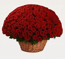 Премиум букет из: Розы в Южном