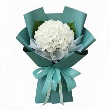 Букет цветов из:  Гортензия в Южном